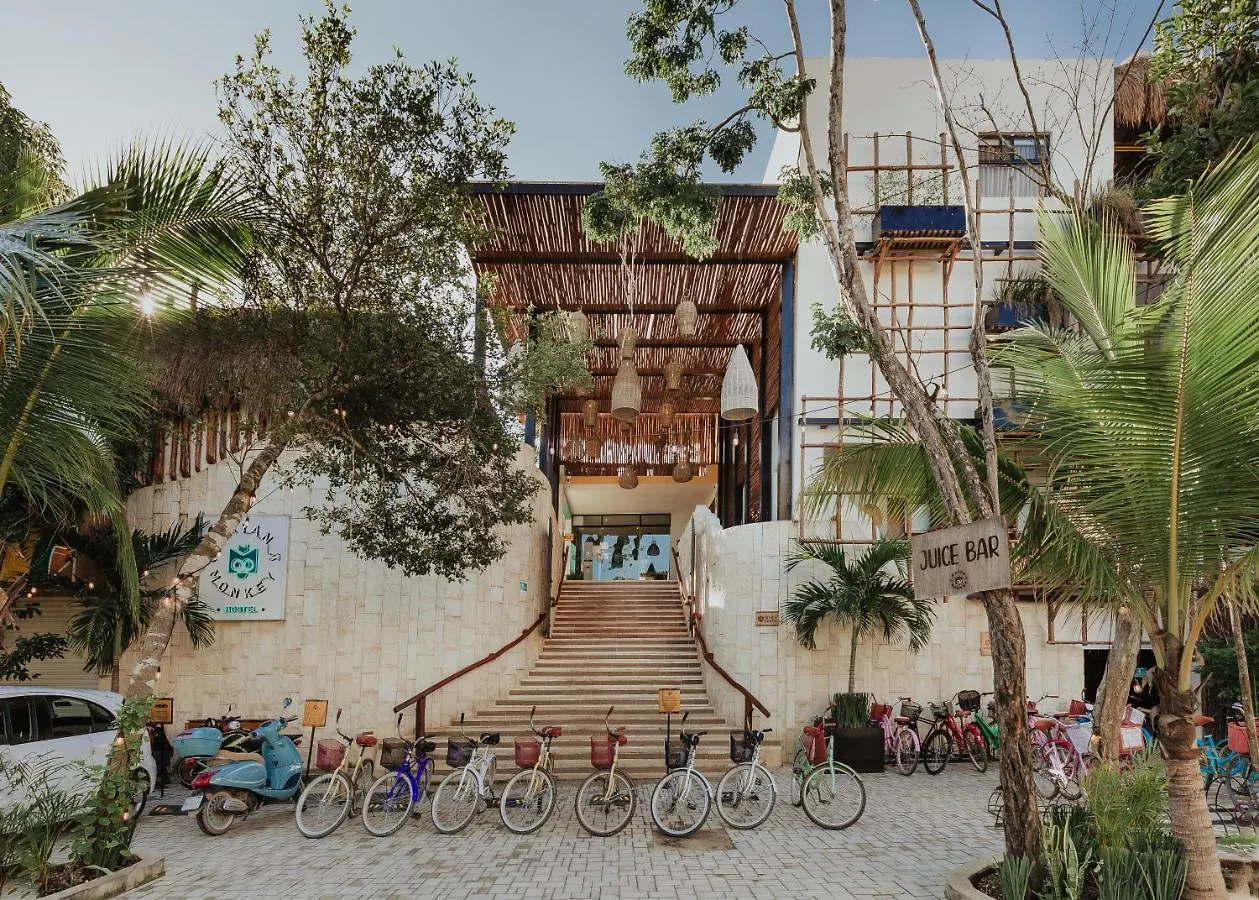 ホステル Mayan Monkey Tulum - Social Hotel (Adults Only)