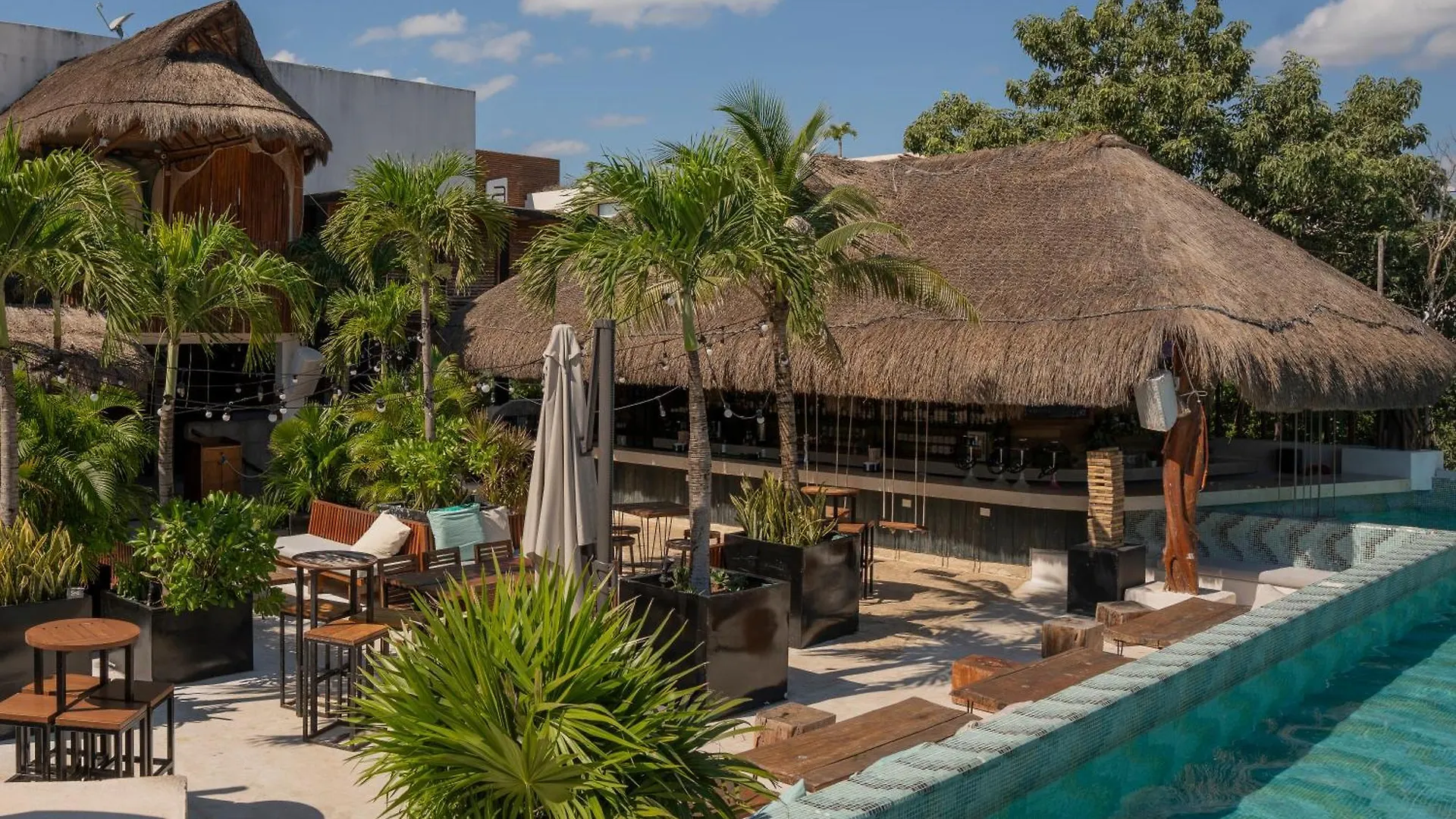 ホステル Mayan Monkey Tulum - Social Hotel (Adults Only)